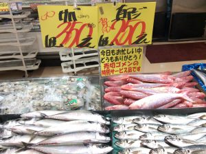 3ED5559F-A748-4CBE-A664-9AA93B0E4510