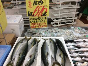 88F5080E-02D2-4F1D-ACFF-8B5B9A43A777