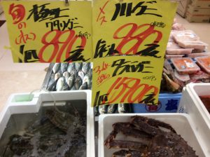 FB203A41-2C4B-4B28-9C57-A1A31A78BFE8