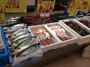 F21246E7-B894-4ED2-B105-0C282AE59A17
