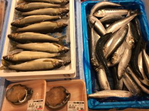 137F1902-04DB-406C-8518-3733D9491E89