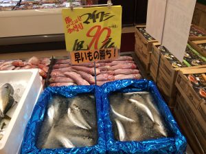 1B5487C1-00A8-40AB-B029-19230C671239
