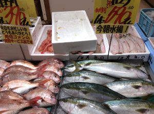 248CA8FF-71B8-4259-B6CF-7ED203B4CFA1