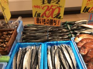 1237C768-337C-4B74-81B9-29C0D1A50066