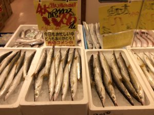 3EC5D20E-A5D9-494B-A061-807E3B0A6763