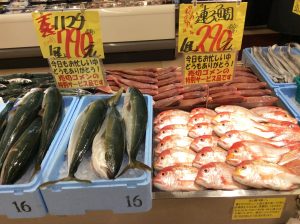 500D52B4-6E81-4ADE-B66E-76AC63F87B93