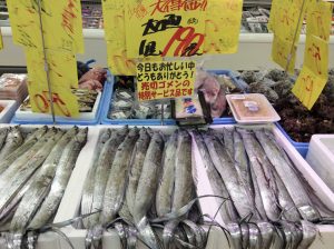 056CD6AD-5416-43A4-BEB4-D7E46DD1FE2A