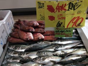 B320B14A-9AC6-489D-A77F-094DD4BC9E99