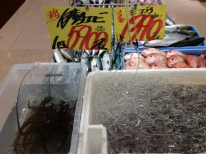 A6EE8255-7AA0-4FC2-BAC8-FC301600205E