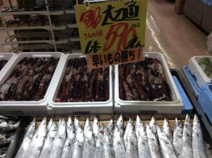 6F672125-C911-4A8C-B87F-01E1001CDC64
