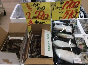 8A4A1CDF-A7DB-4204-856E-DA531E78CD1E