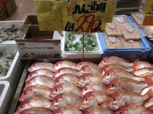 E87D1110-363F-477C-807B-F476E398340D
