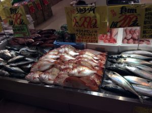 462C548B-2823-4821-A55E-05884E41725F