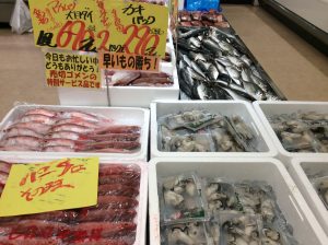 806F56C9-A28A-49BF-8701-C75400D0837F