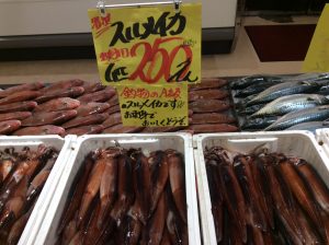 87CF3A37-4EF9-4512-93C7-3D2BA8075775