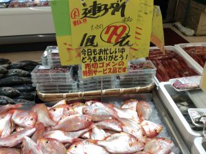 ED1A9FF1-1A1C-4B57-95BF-CC2D6B6998CD