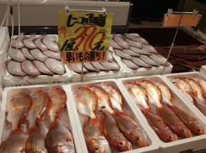 45D494E5-772C-499B-81A8-7A802BC9D106