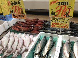 C969B04A-906A-4FD4-BB9D-9D0CBDAB77AD