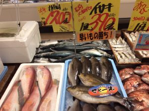 74FE0720-818D-4AB1-8CF2-F1E2C17BDCC1
