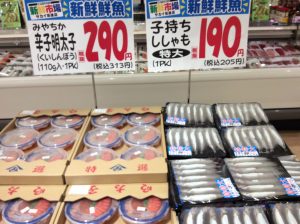 39F96BBB-474E-4D48-97F1-9F4C95AEA822