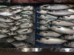 46F01E9F-BDBF-4441-91A1-CF6BD75AA1D5