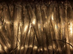 7BE8C678-E72E-4904-94DA-46ED901D4CB9