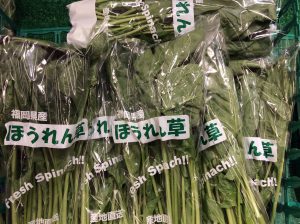 E68EF0AD-4CE6-4800-9AC5-BCD206D48ABA