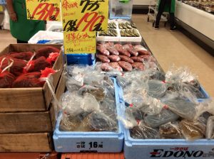 E9233605-9E7A-4EAD-AC98-071F9CAC327F