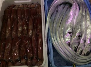 2C51C9B6-78D8-41CF-8DD7-ABE5F8F02099