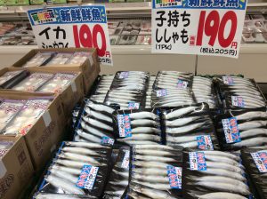 E42B48F8-4795-4DB3-B44C-E995E9B45C7D