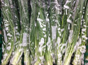 2F86665D-D1E4-4625-9D75-0941DDC5A1A0