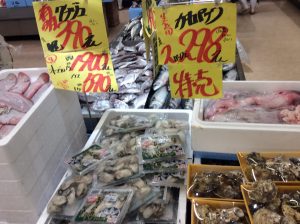 8583F718-F31E-438D-B612-1B58B498513B