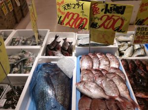 16B6F685-491A-4DAA-BD86-B8F0CB7362EC