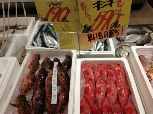 BF046CF2-CFE7-4518-8B37-451D4EE9303E