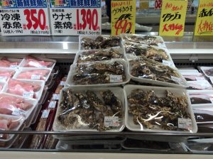DD778D30-6BF6-4EB6-A0B1-F9AF0140FEFA