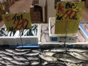 A6565F5D-91C3-4F9D-A7D5-9E5F4F94CA7D