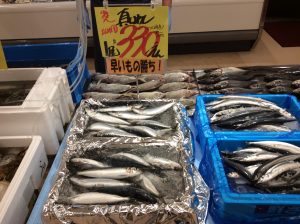 43D2965D-C723-494C-A5B7-16A0C563F131