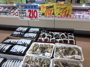97E172CA-0724-4F9E-9EE2-D91F7B6970B9