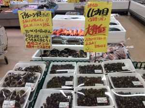 1023453B-714B-44B5-B37E-44B016AD92E7