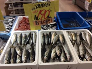 44F4483A-A085-42E1-B750-EB9573CB4BE9