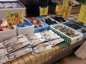 E3CBC06B-4A6E-4A0F-AF84-AE1444C83509