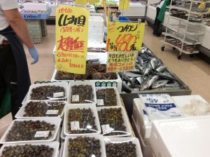 06376BB4-76AF-4148-ACE0-48FC865050D3
