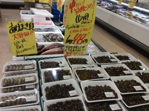 D9734447-714F-4B63-8EAB-B9B9ABCCB11A