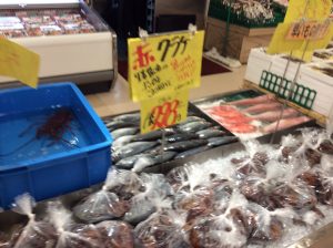 0703B927-5E53-4C4B-8319-3ABFF30AEA74