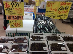 D99A3C7B-0AC7-4324-A11B-0B68519AA5FA