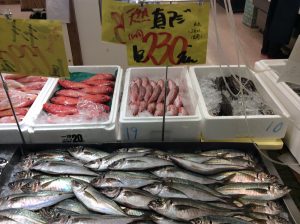 473F3696-50D5-4805-8163-15AE605F88FE