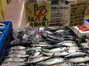 76F3A9E7-91FD-48B6-8625-3911100E1488