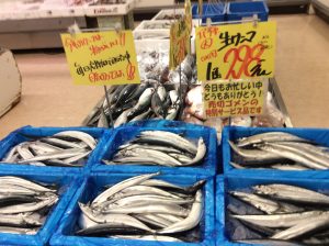 930F148F-D9CA-434E-BAB8-5B32E46E7806