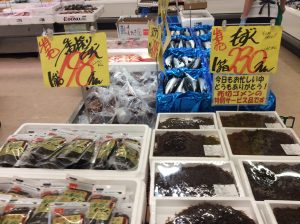 0FA5B9EC-5736-4786-814F-173C10C9223F