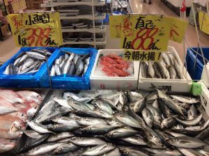 9F436FC1-54B6-494E-A271-C56E046895D7